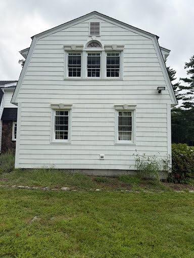 Algae-covered siding before and after soft washing — back to a clean surface.