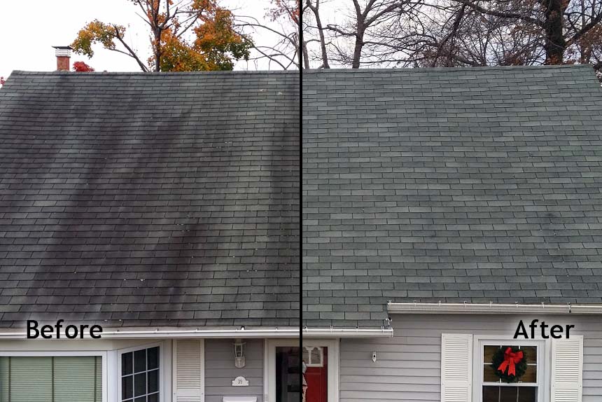 Residential asphalt roof before and after soft washing — black streaks removed, shingles restored.